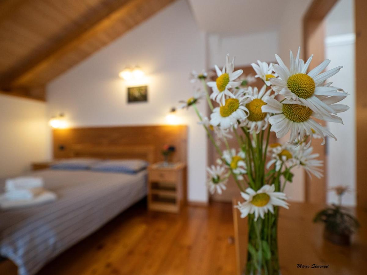 Agritur Widmann Villa Coredo Dış mekan fotoğraf
